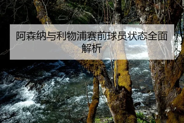 阿森纳与利物浦赛前球员状态全面解析