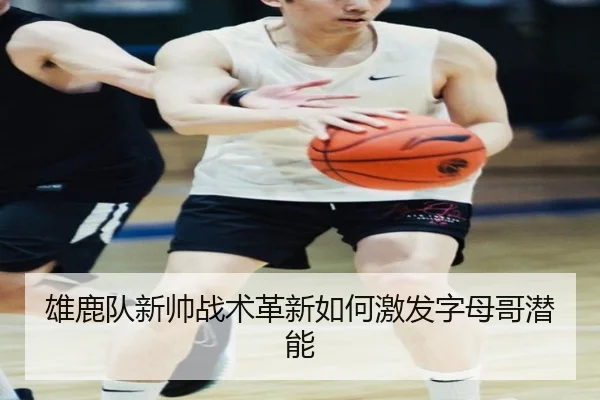 雄鹿队新帅战术革新如何激发字母哥潜能